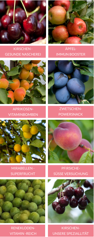 KIRSCHEN -  GESUNDE NASCHEREI ÄPFEL- IMMUN BOOSTER APRIKOSEN- VITAMINBOMBEN ZWETSCHEN- POWERSNACK RENEKLODEN- VITAMIN -REICH KIRSCHEN- UNSERE SPEZIALLITÄT MIRABELLEN -SUPERFRUCHT  PFIRSICHE- SÜSSE VERSUCHUNG 